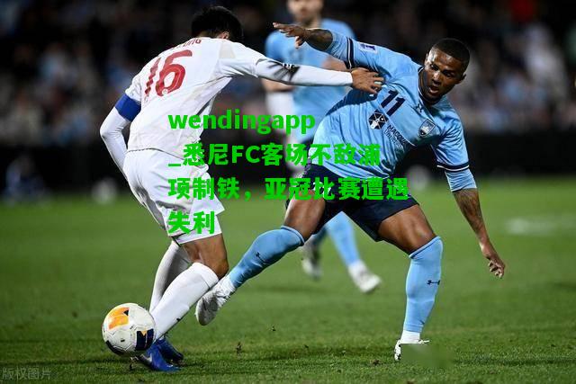 wendingapp_悉尼FC客场不敌浦项制铁，亚冠比赛遭遇失利  第2张